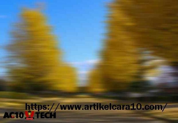 Cara Mengatasi Aplikasi Luminar Tidak Menanggapi