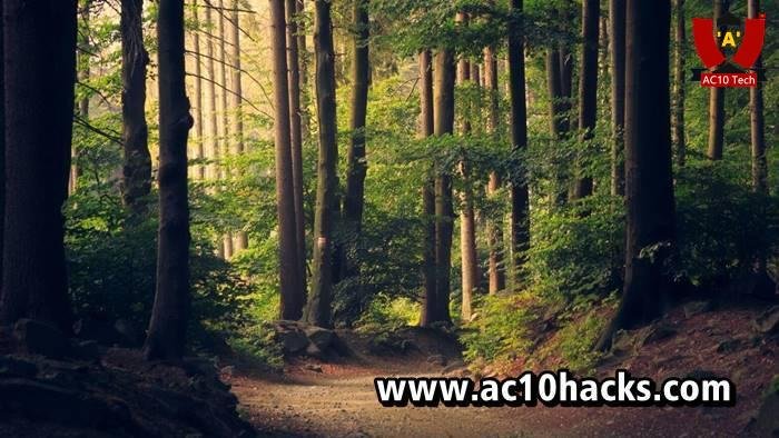 Caption Aesthetic Untuk Posting Instagram