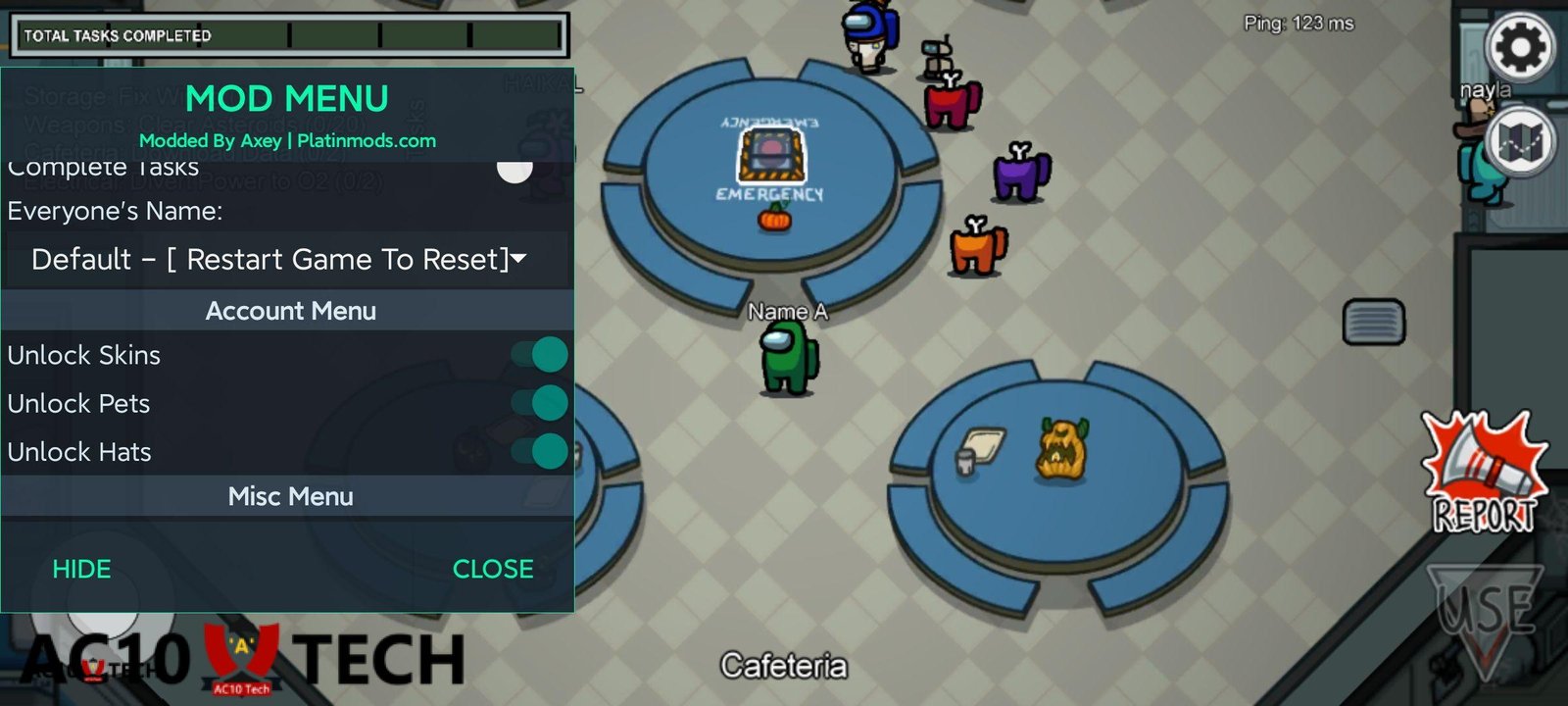 Skin Hat Pet Among Us Gratis