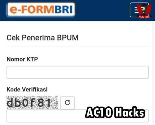 BPUM BRI 2025 Cek dan Cara Daftar Online Lewat HP