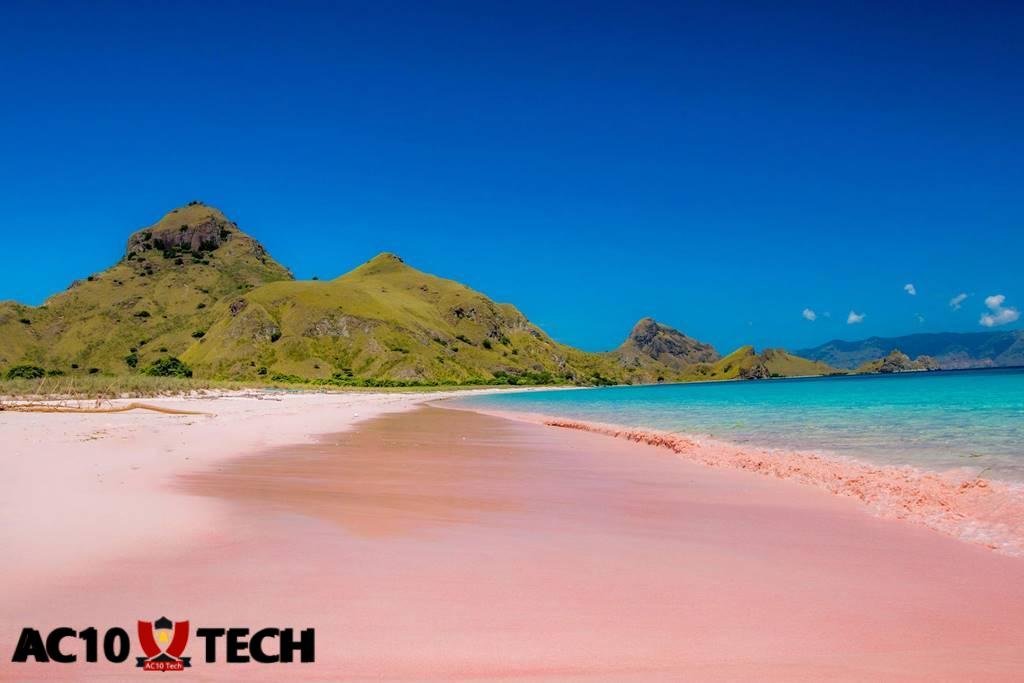 Destinasi Wisata Alam Pink Beach