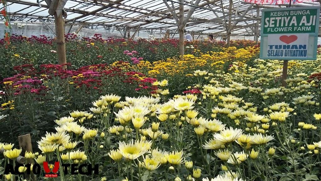 Taman Buga Setiya Aji Wisata Bandungan Terbaru