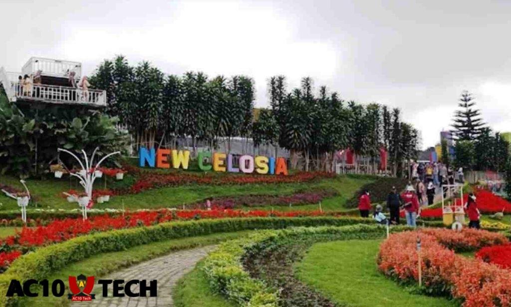 Taman Celosia Wisata Bandungan Terbaru