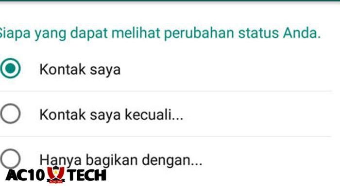 Cara Agar Status WA Dilihat Banyak Orang 2026