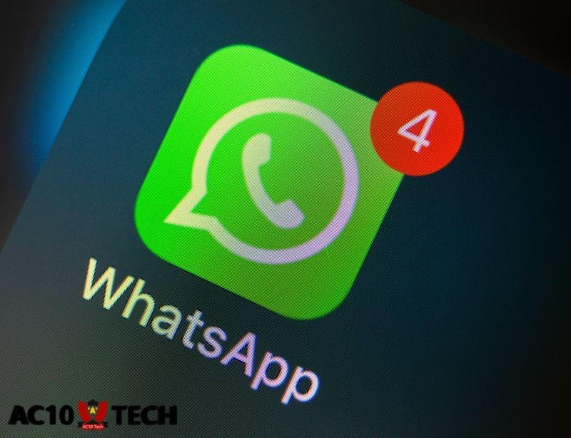 Nomor WA Cewek Terbaru 2025 Gratis! VCS Gratis Sekarang