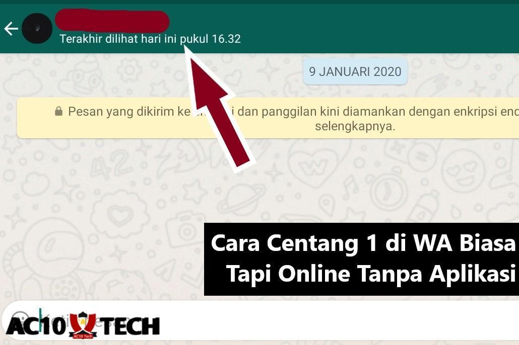 Cara Centang 1 di WA Biasa Tapi Online Tanpa Aplikasi 2025
