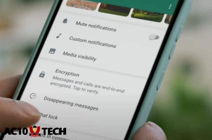 Cara Agar WA Banyak yang Chat 2025