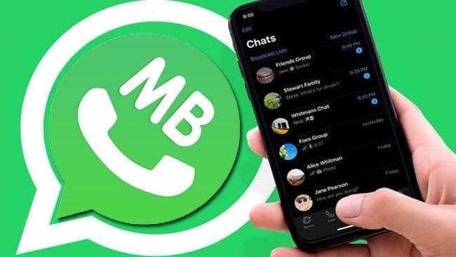 Cara Mengaktifkan dan Menyesuaikan Pengaturan Privasi di MB WhatsApp untuk Keamanan Lebih Baik